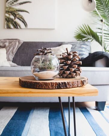A modern living room with a wooden coffee table holding a glass terrarium and pinecones, a striped blue and white rug underneath, and a gray sofa with cushions in the background